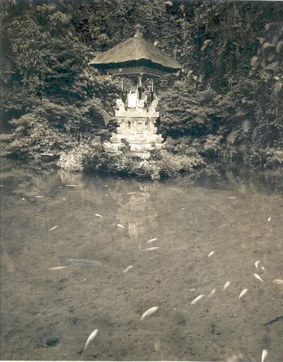 Fish Around Totem